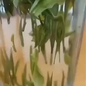 新茶黄山毛峰特级明前茶高山茶