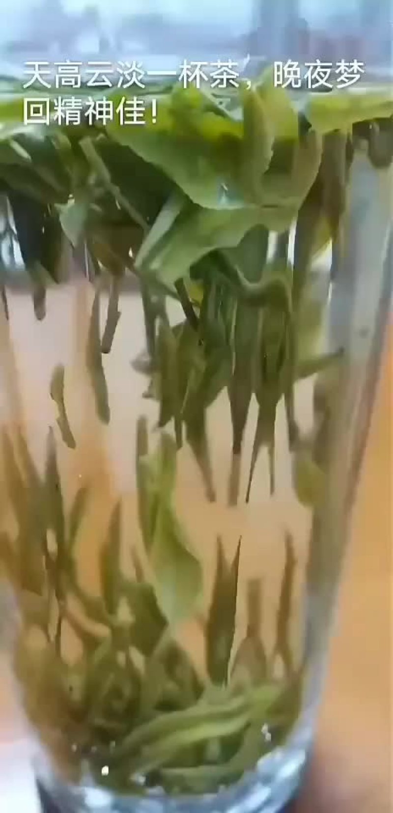 新茶黄山毛峰特级明前茶高山茶