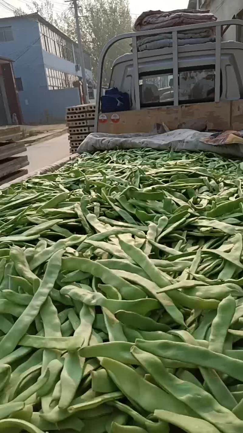 蔬菜大扁赶集货大扁掉价中