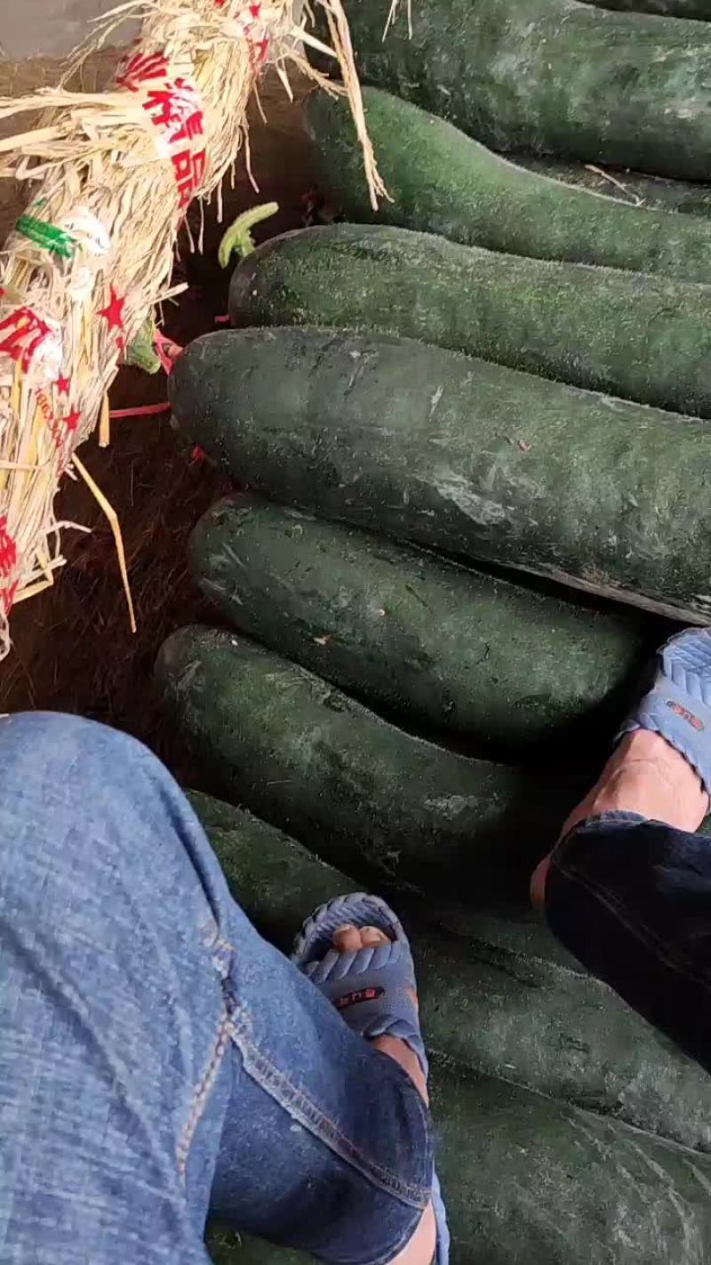 价格美丽吊冬瓜，便宜出手0.3