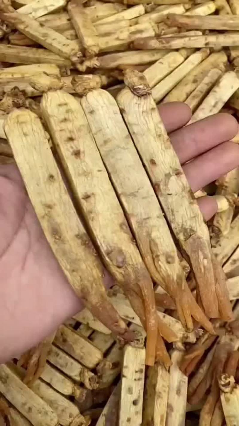 高丽参
