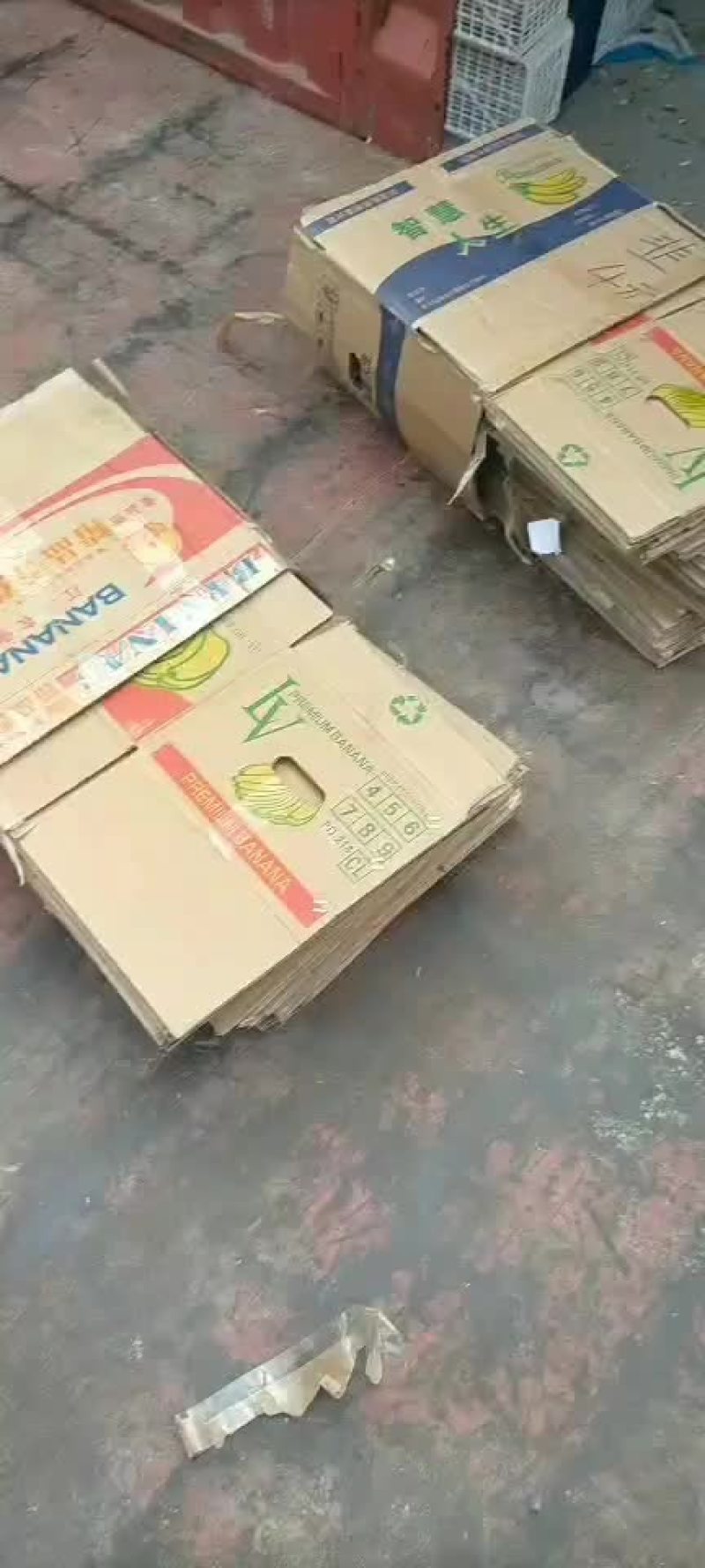 要的联系我