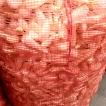 藠头