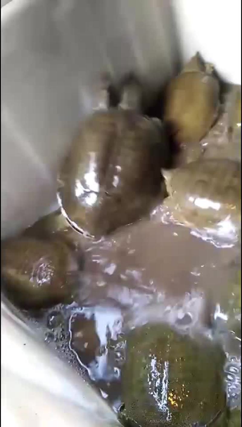 水产