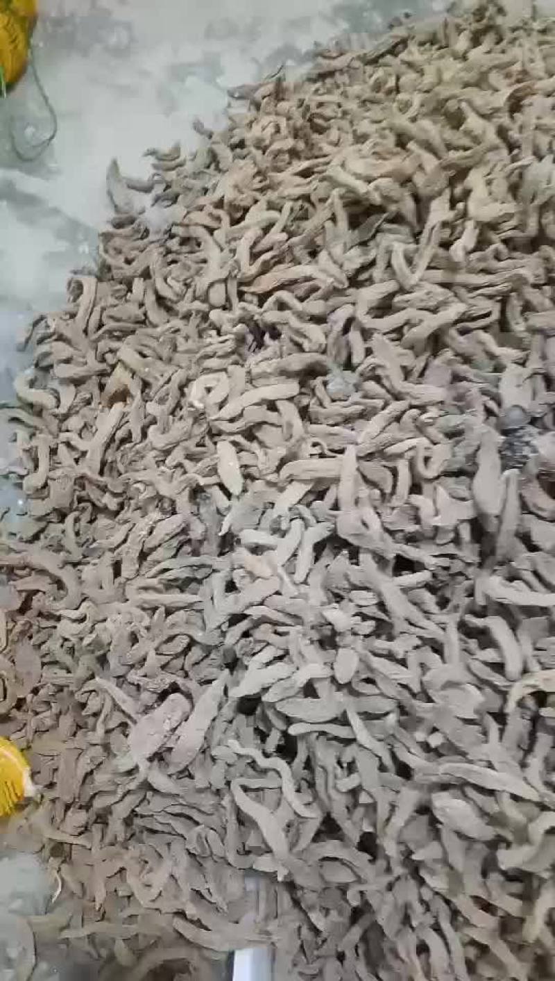 无硫自然晒干天麻最后几百公斤
