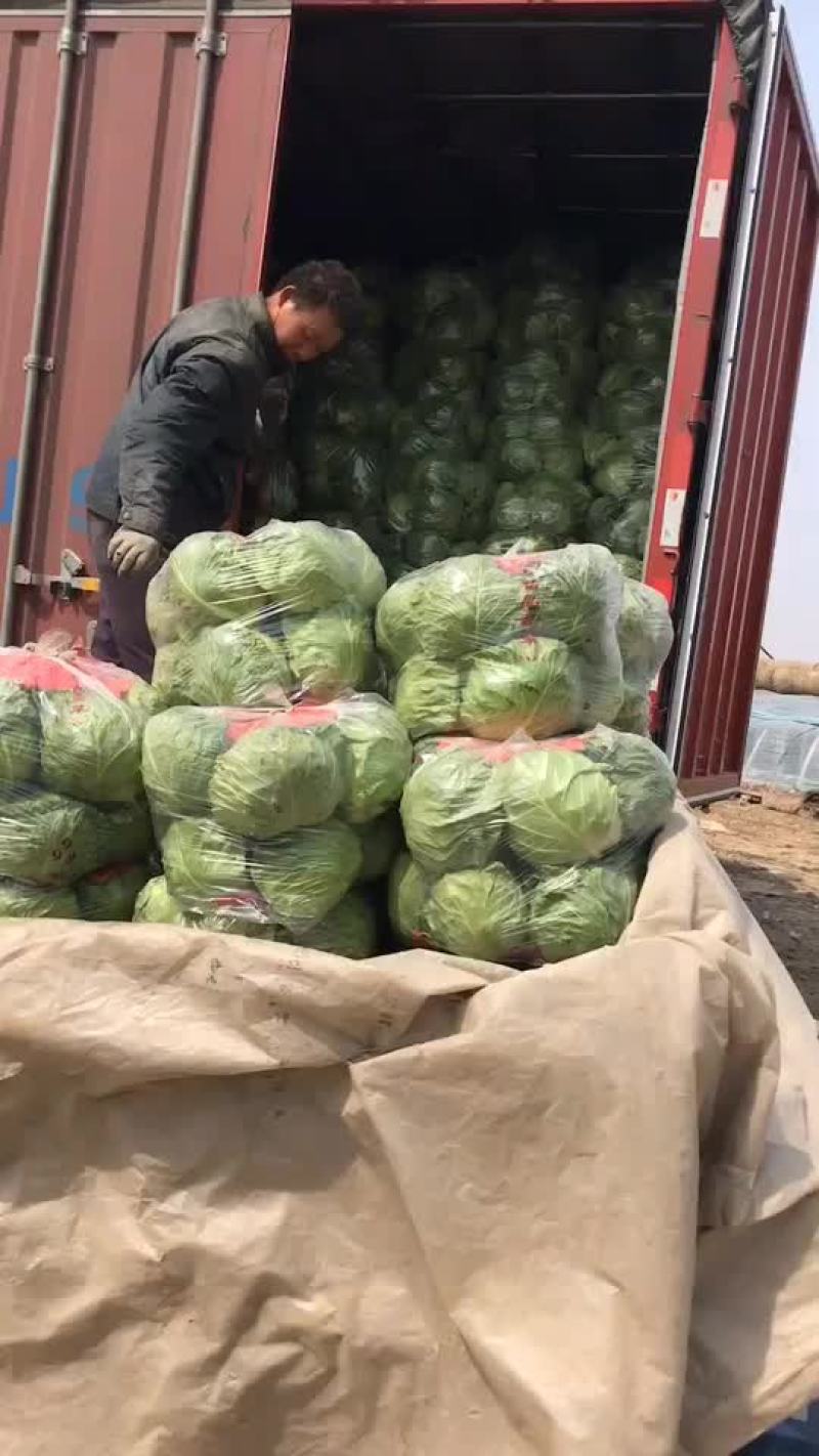 唐山市滦南县严涛果蔬种植收购专业合作社