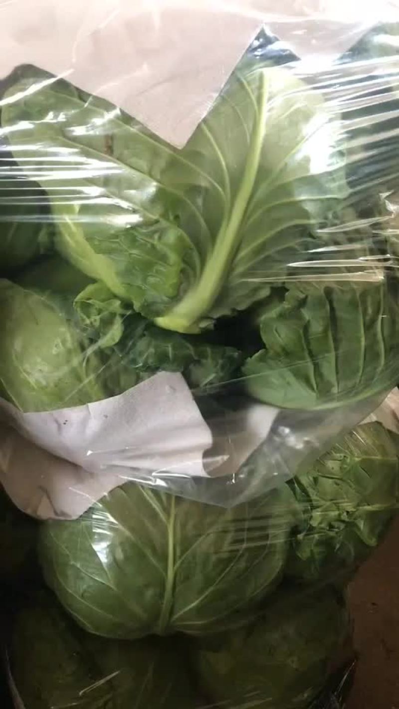 唐山市滦南县严涛果蔬种植收购专业合作社