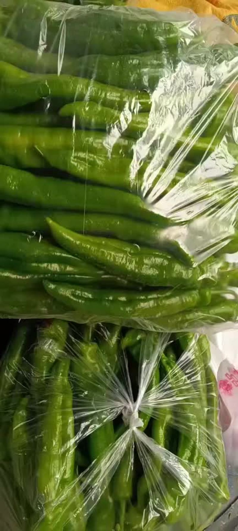 唐山市滦南县严涛果蔬种植收购专业合作社