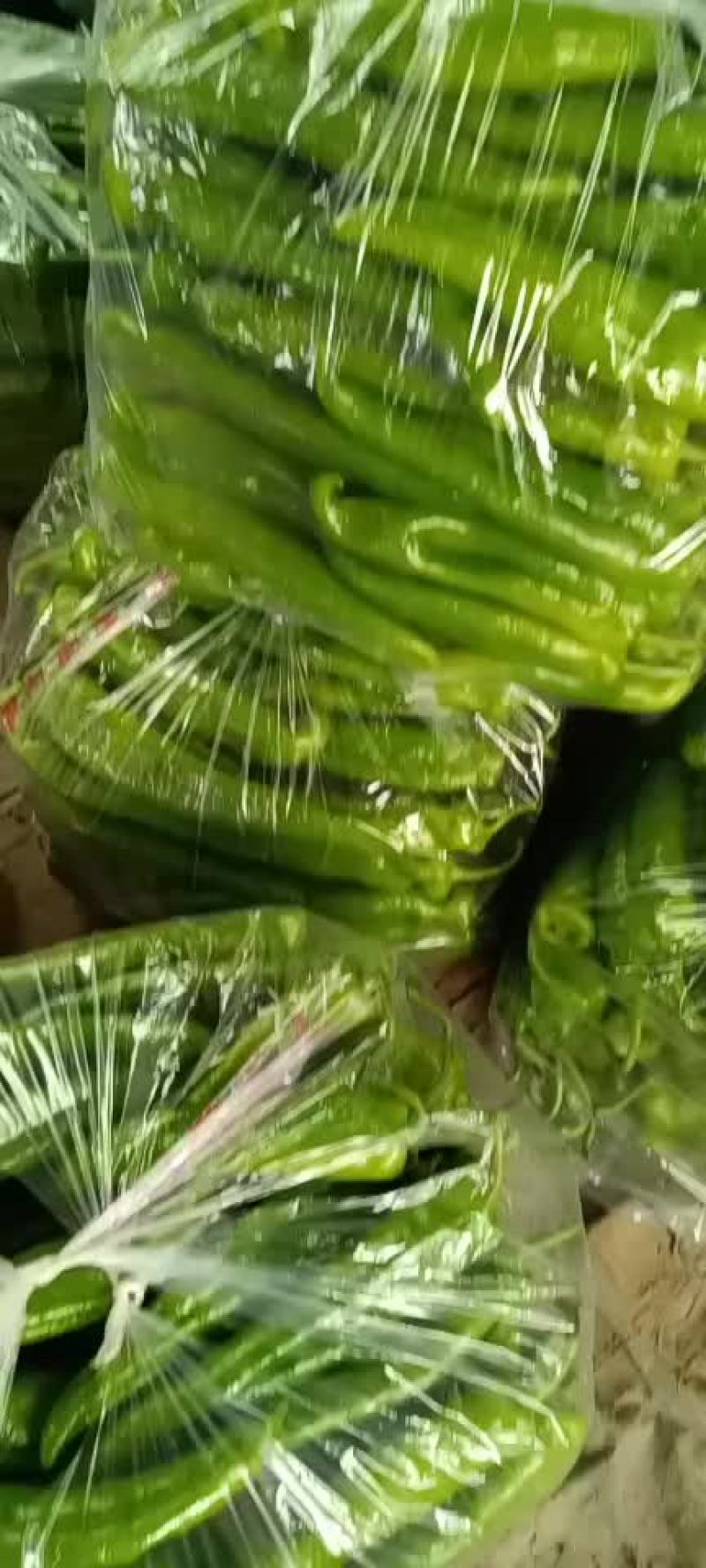 唐山市滦南县严涛果蔬种植收购专业合作社