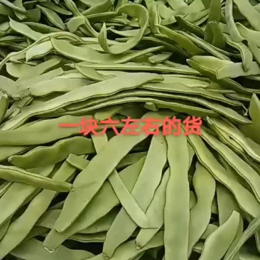 扁青芸豆，好通货，