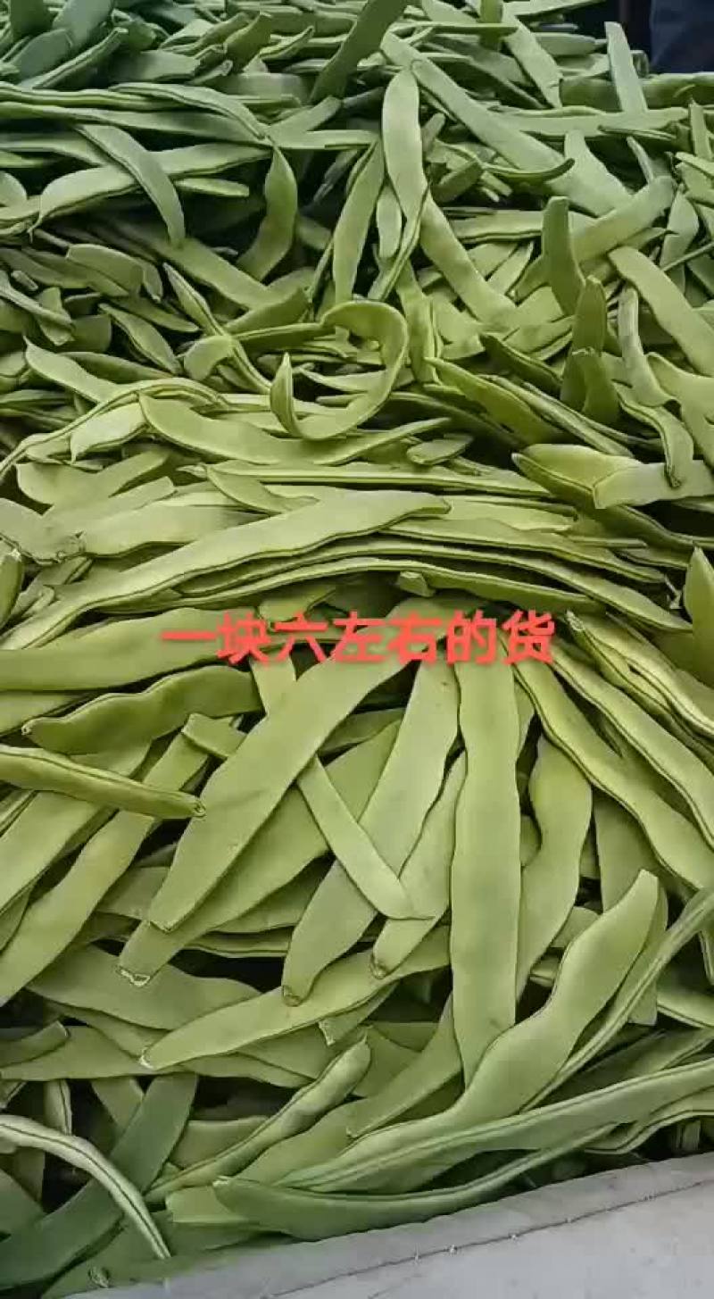 扁青芸豆，好通货，