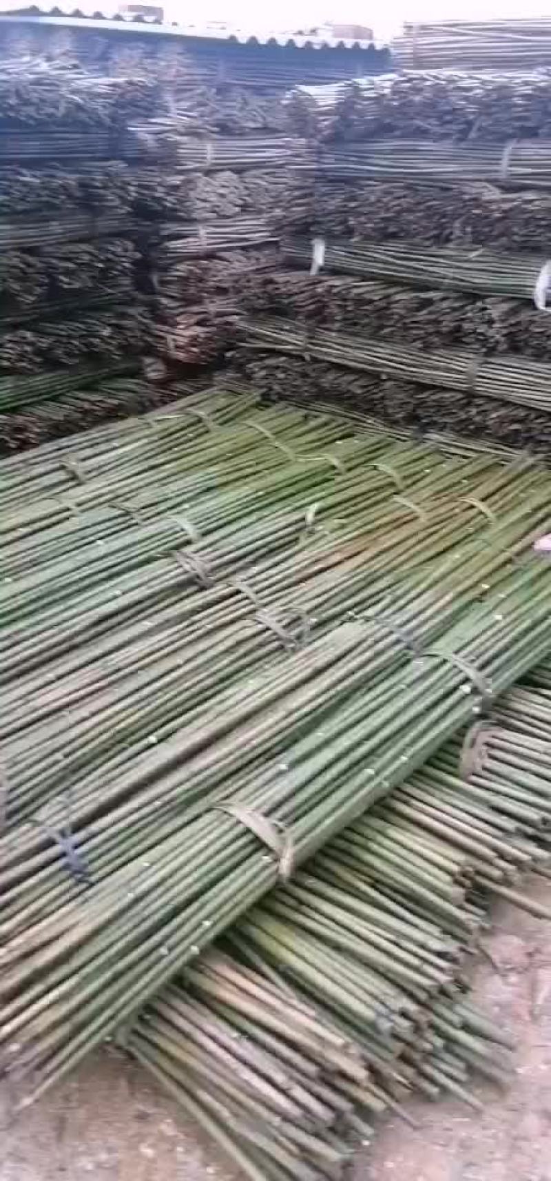 有需要的种植户，老板请下单