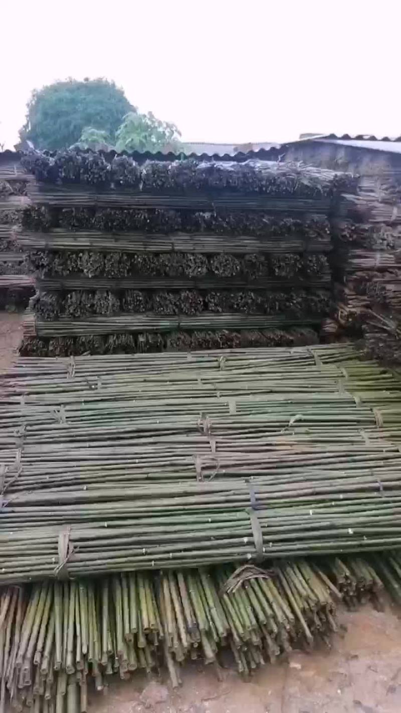 有需要的种植户，老板请下单