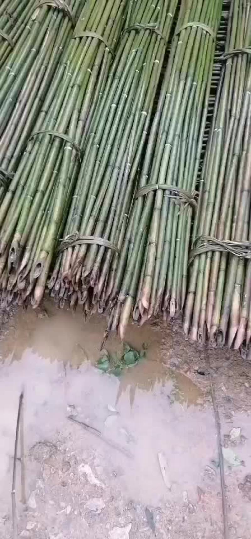 有需要的种植户，老板请下单