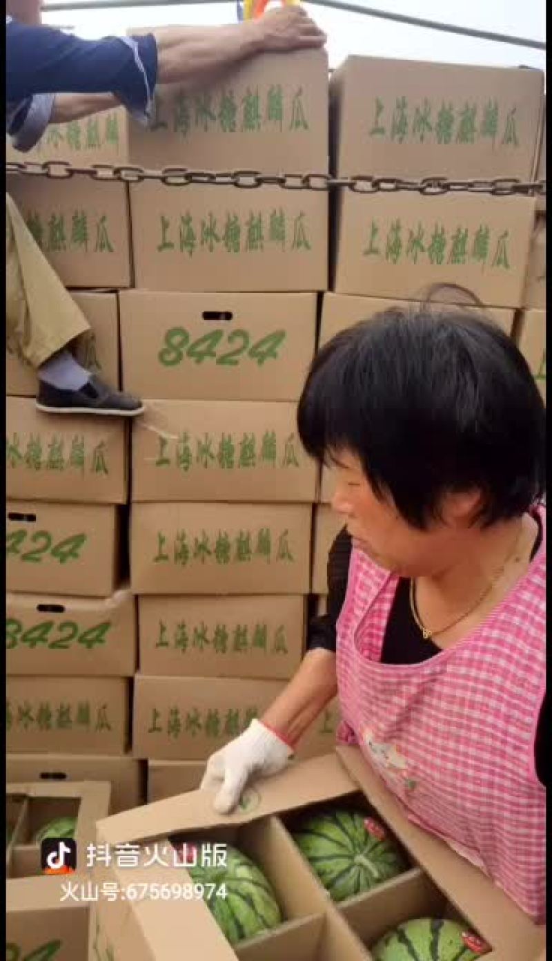 山东菏泽8424麒麟瓜上市中