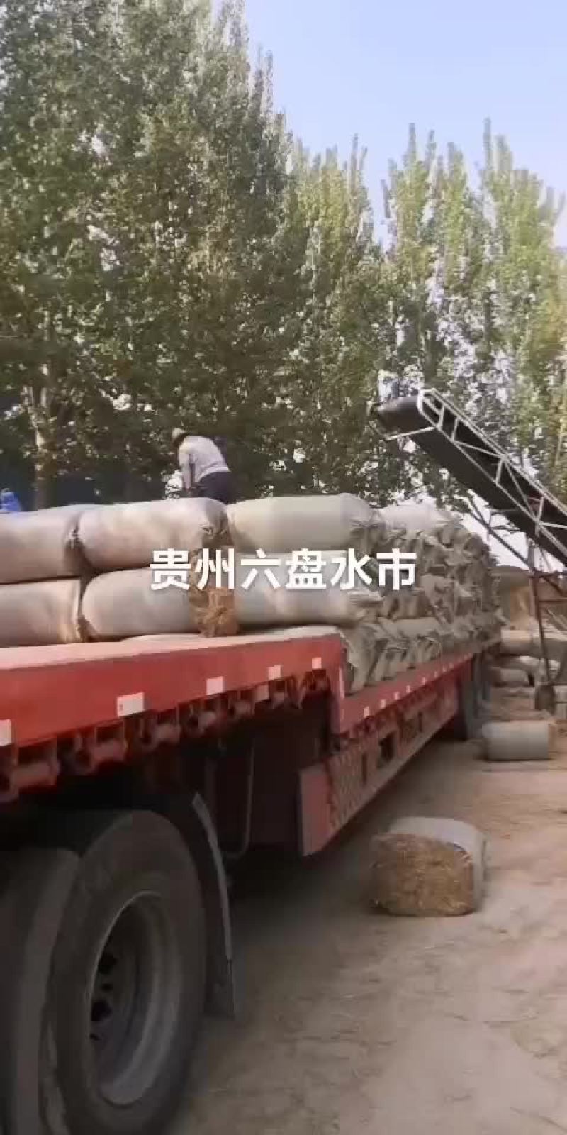 稻草