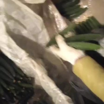 精品光顾专供，欢迎采购！