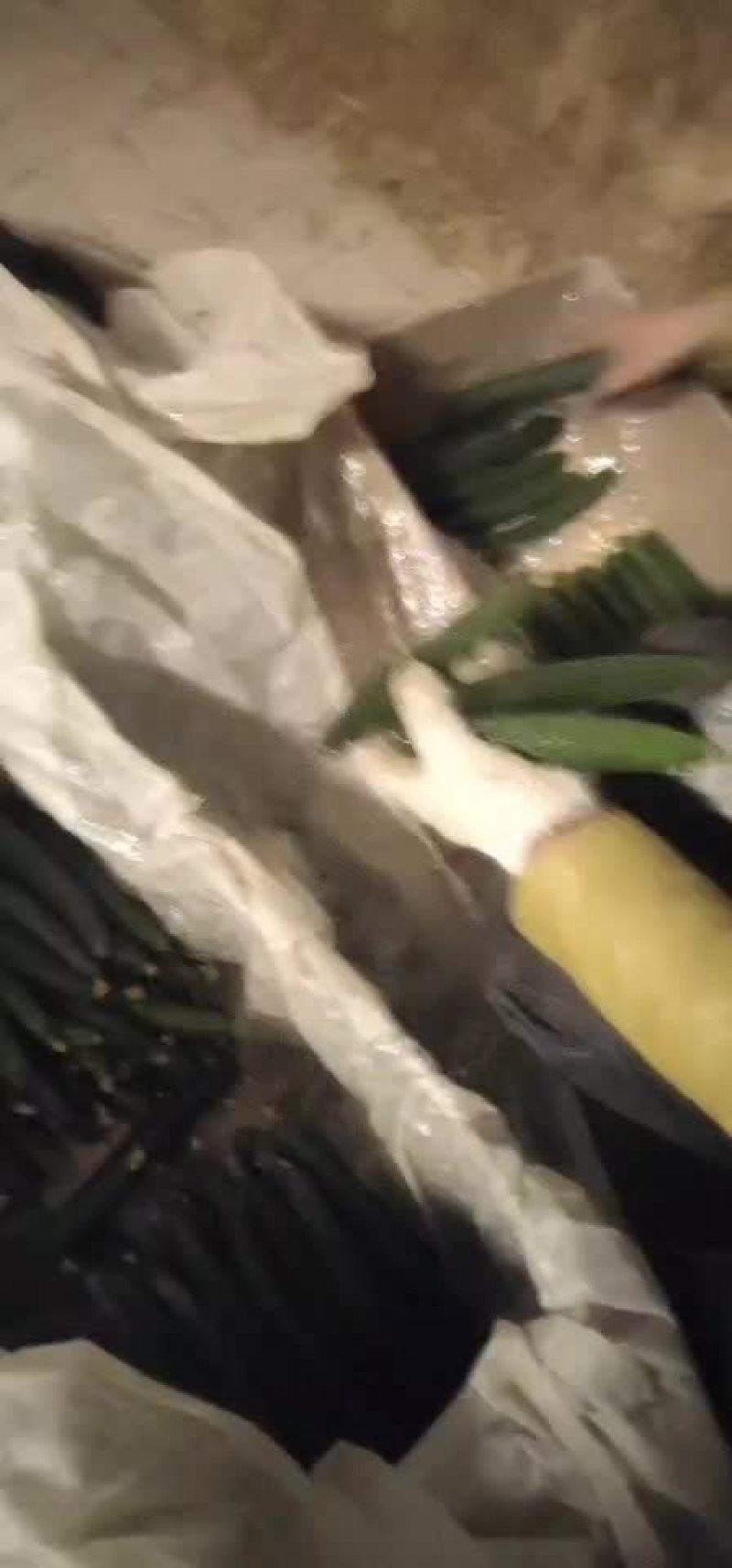 精品光顾专供，欢迎采购！