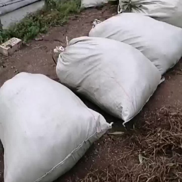 农忙时节