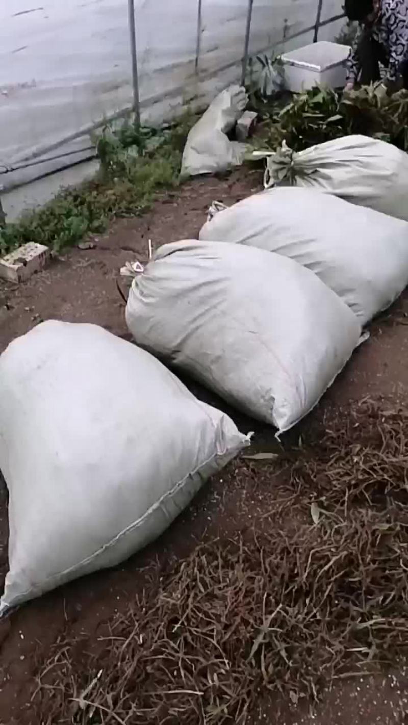 农忙时节
