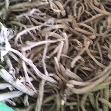 我是云南产地购销中药材的苏军伟