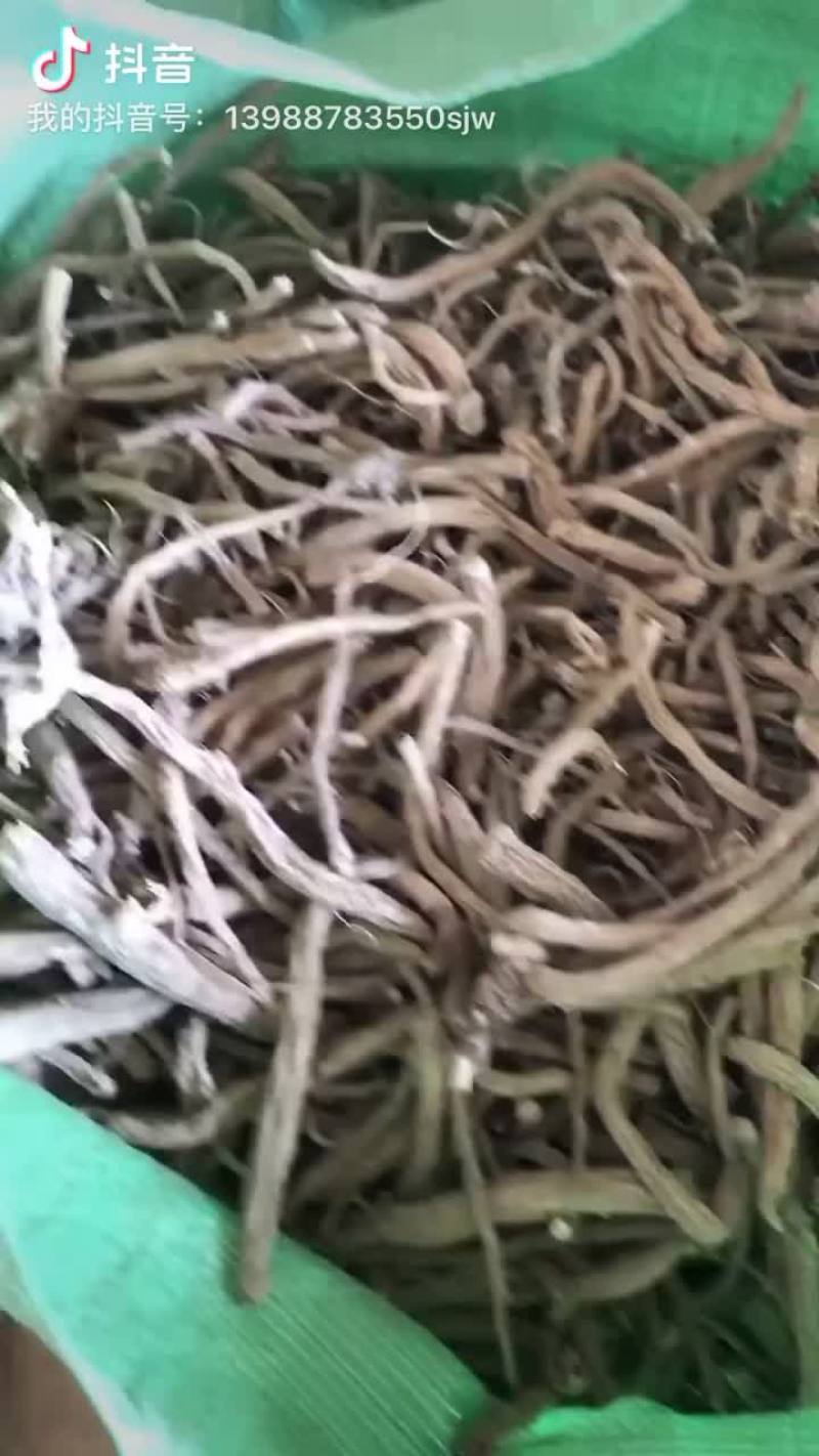 我是云南产地购销中药材的苏军伟
