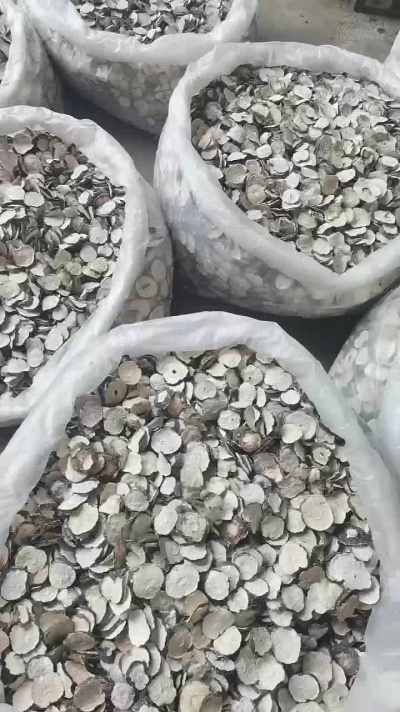玛卡片新鲜玛卡切片丽江玛卡果