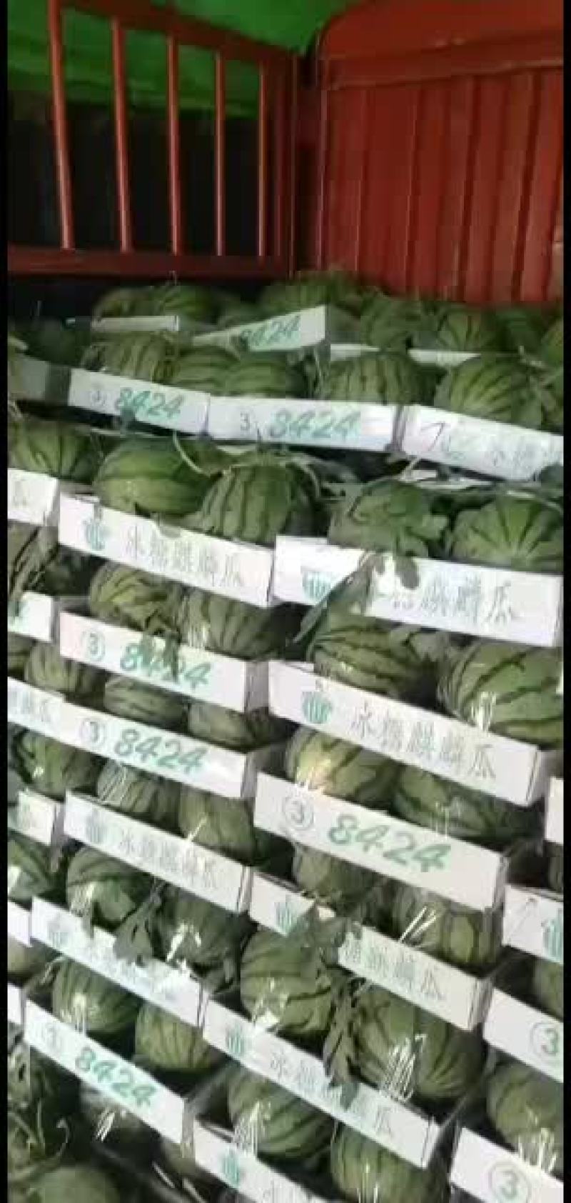 山东8424西瓜基地量大发全国