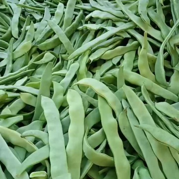 蔬菜大扁赶集货大掉价