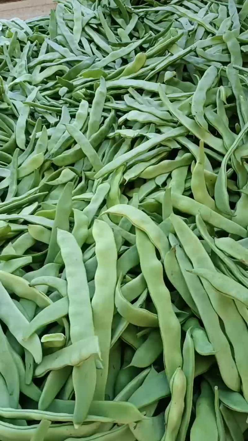 蔬菜大扁赶集货大掉价