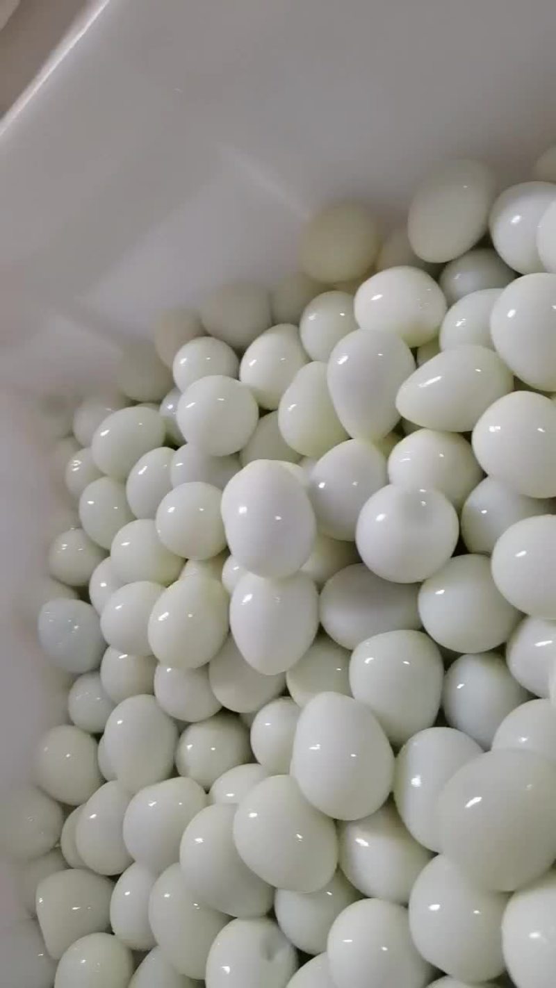熟去皮去壳鹌鹑蛋