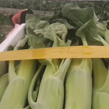 小官蔬菜
