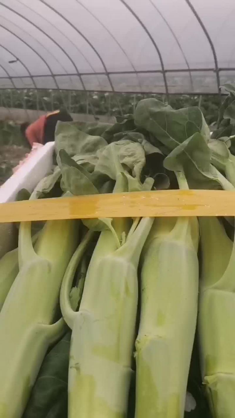 小官蔬菜