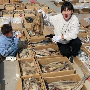 鲅鱼干