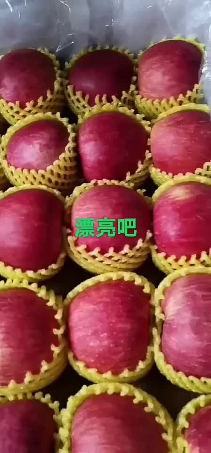 万亩果园陕西延长高原纸袋冰糖心红富士高检冷库货