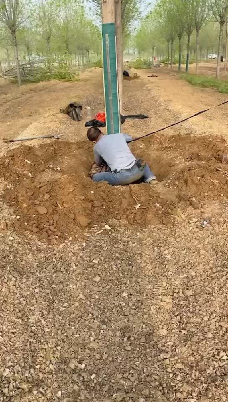 白腊