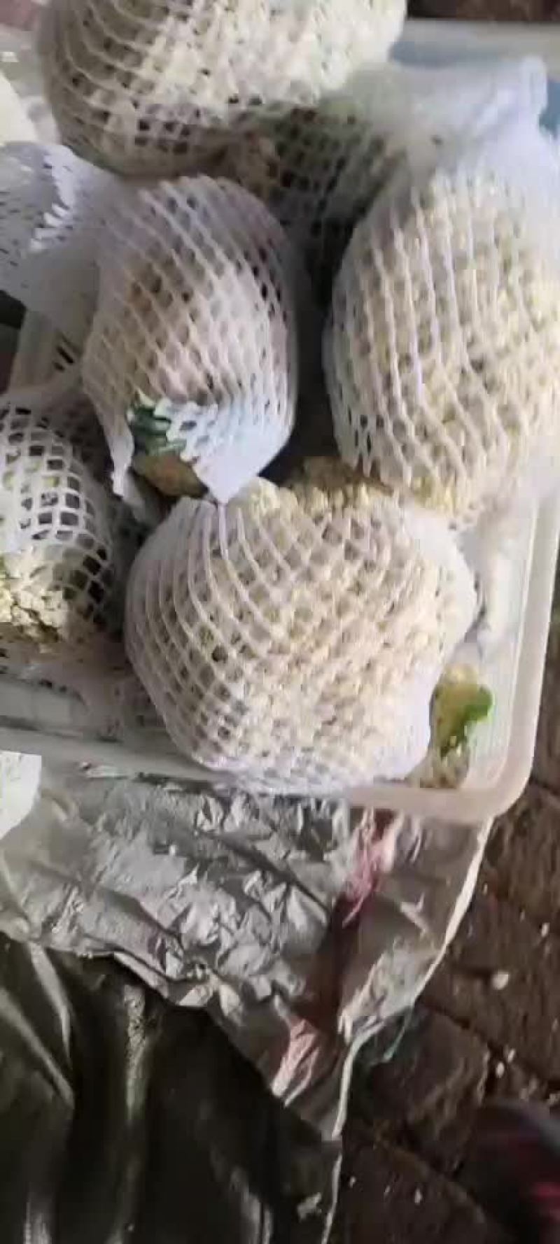 有机花