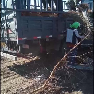 本地一手货源