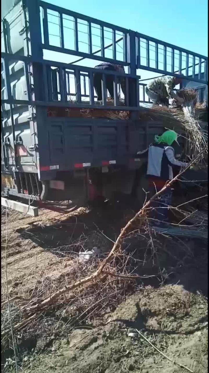本地一手货源