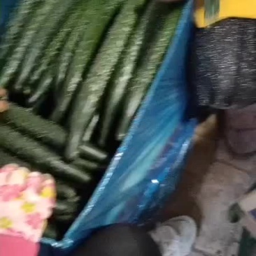 精品黄瓜欢迎新朋友来购