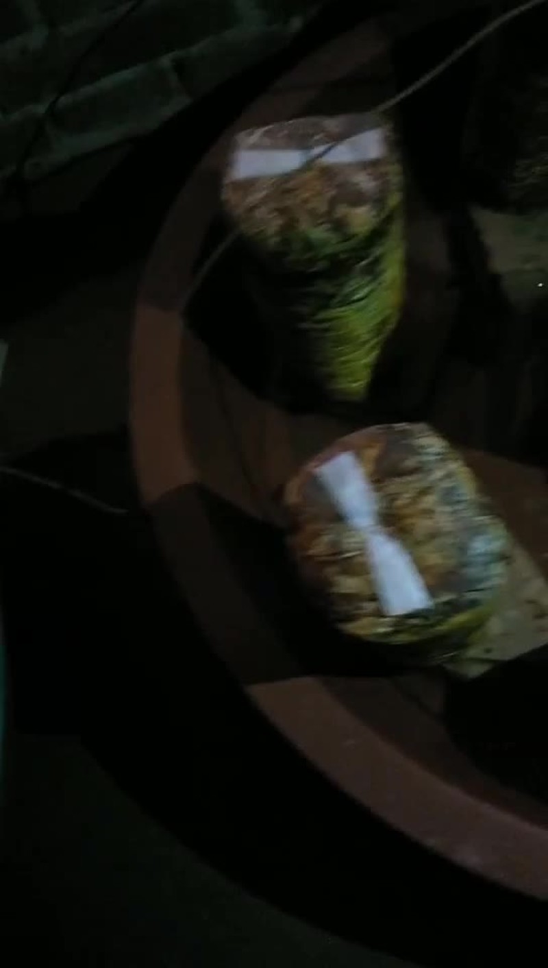 桑黄种植户视频指导全过程。