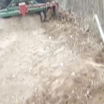 自家本地货源