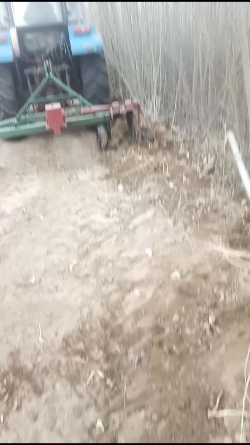 自家本地货源