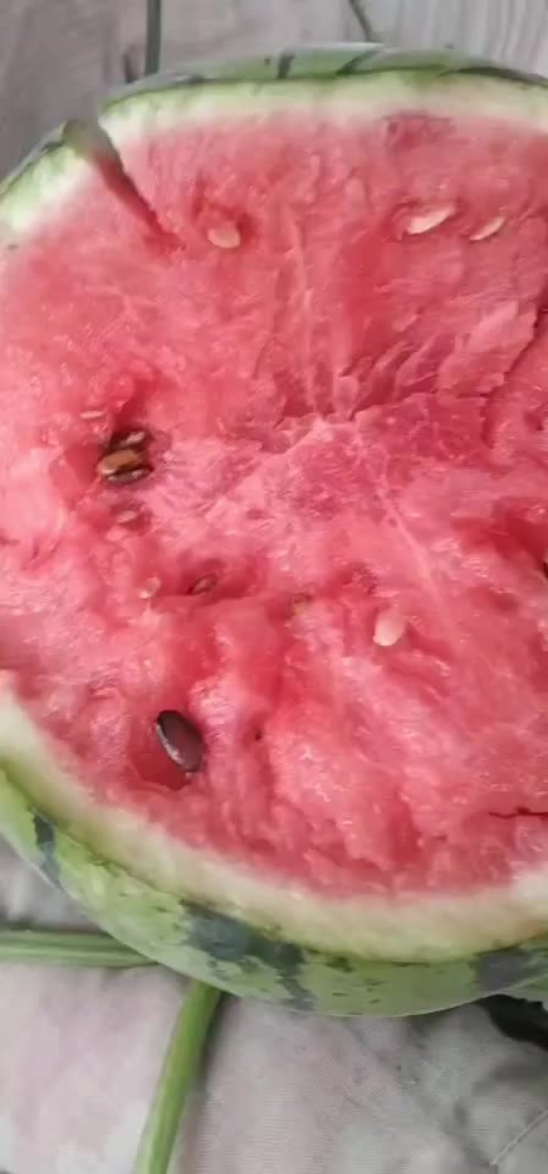 西瓜