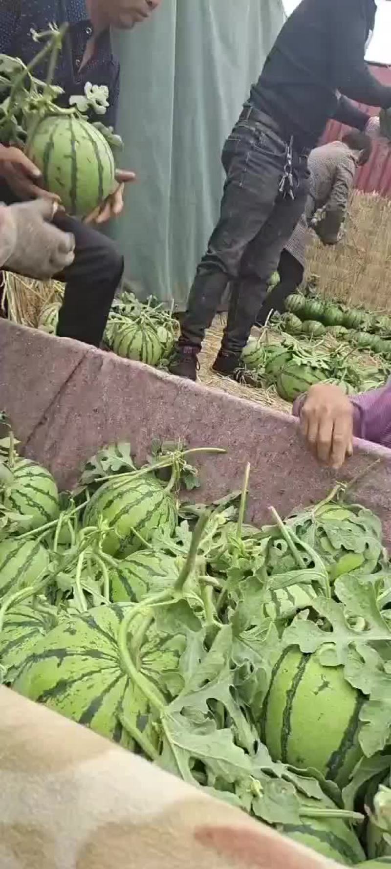 西瓜