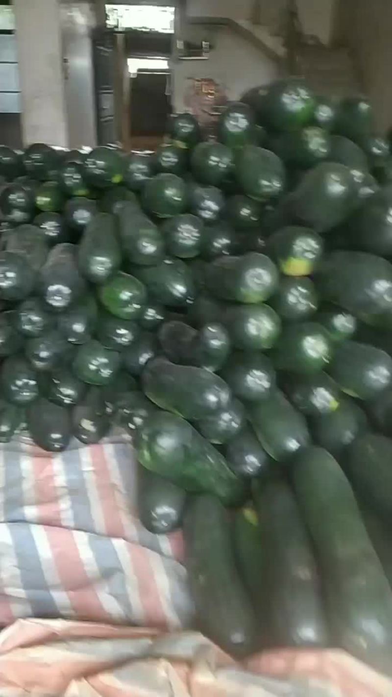 坛洛冬瓜