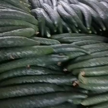 黄瓜精品