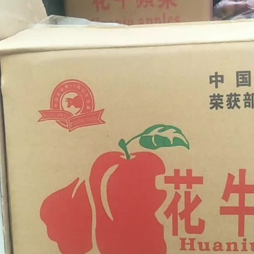 花牛苹果