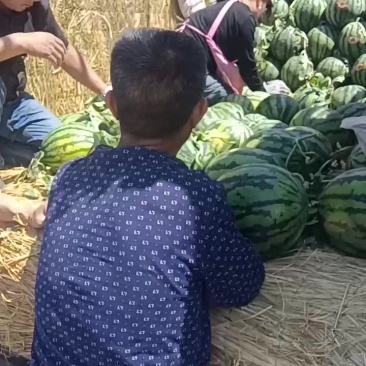 甜王
