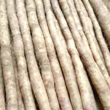 以优质的服务，诚意的态度做人，做事